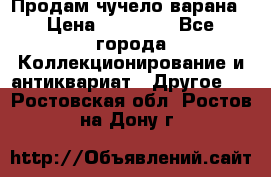 Продам чучело варана › Цена ­ 15 000 - Все города Коллекционирование и антиквариат » Другое   . Ростовская обл.,Ростов-на-Дону г.